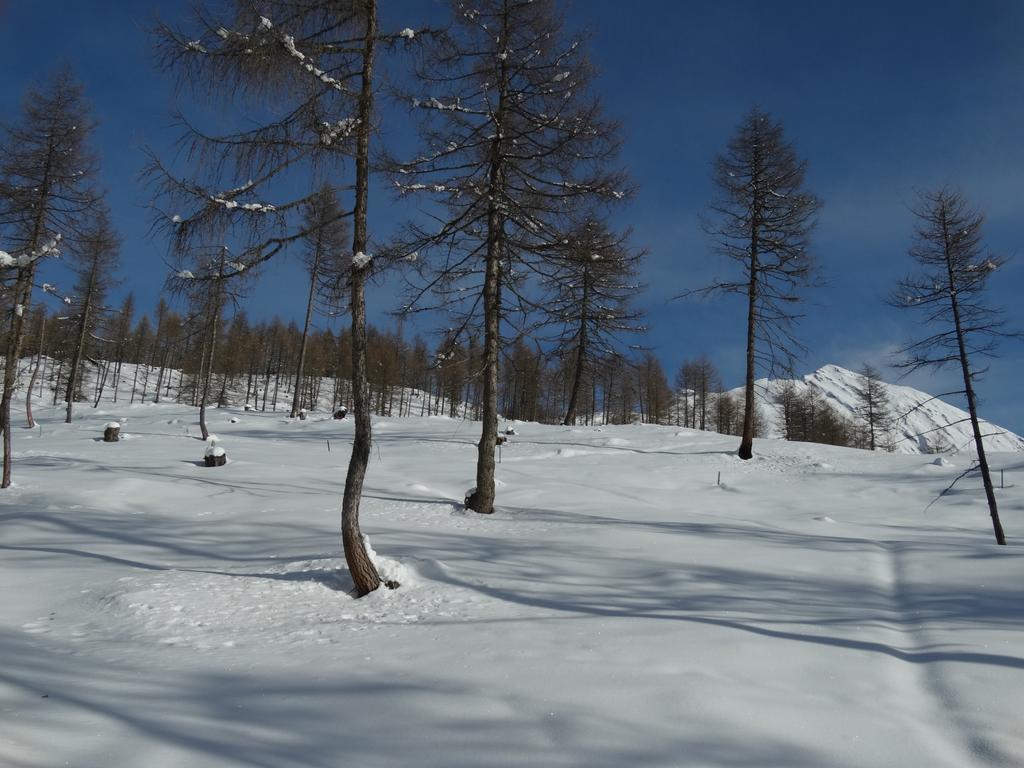 Grossglocknerappartement Kals-am Großglockner Εξωτερικό φωτογραφία