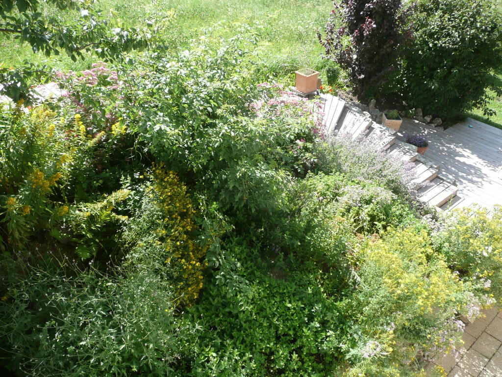 Grossglocknerappartement Kals-am Großglockner Εξωτερικό φωτογραφία